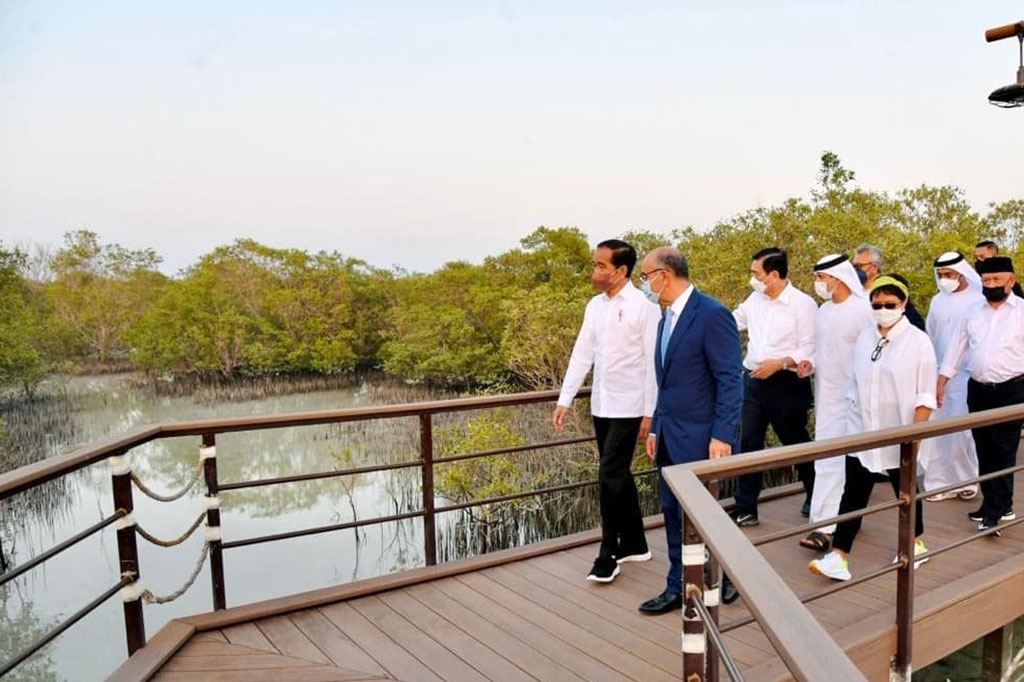 Setelah mendengar penjelasan tentang kawasan tersebut, Presiden berjalan kaki melintasi jembatan kayu atau broadwalk sejauh 300 meter untuk melihat tanaman mangrove.