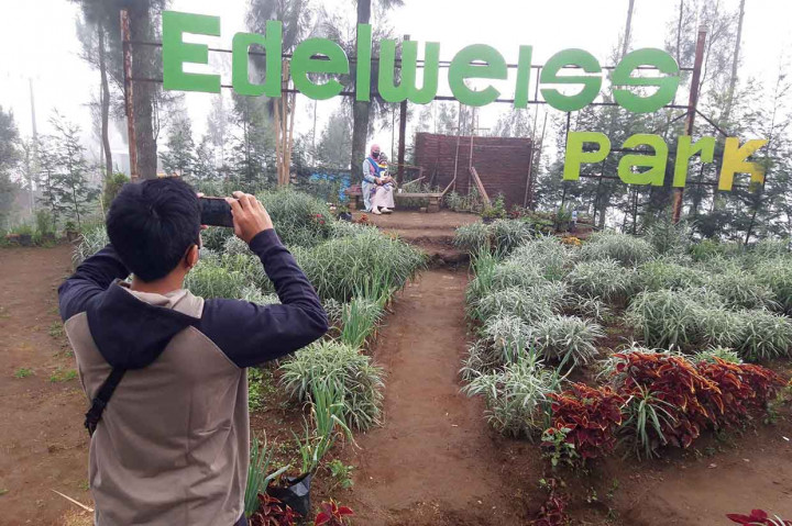 Sejumlah pengunjung sedang berwisata di Desa Wisata Edelweis di Desa Wonokitri, Kecamatan Pasuruan, Jawa Timur, Minggu, 7 November 2021. 