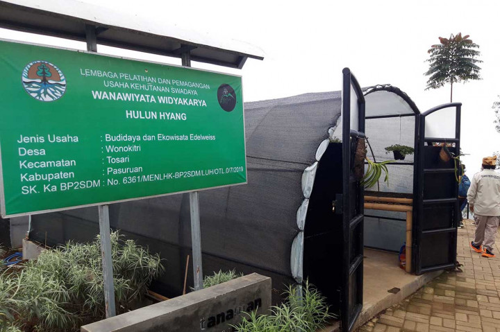 Objek wisata yang dikelola pemuda desa di kawasan Gunung Bromo itu membudidayakan tanaman edelweiss untuk edukasi dan konservasi.