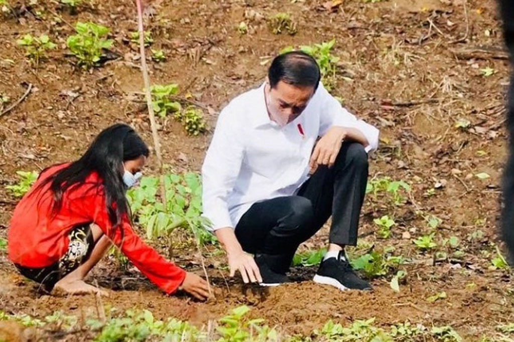 Di hari kedua kunjungan kerja di Provinsi Nusa Tenggara Barat (NTB), Sabtu, 13 November 2021, Presiden Joko Widodo melakukan penanaman pohon bersama masyarakat. Penanaman pohon digelar di Kawasan Hutan Gunung Pepe, Kabupaten Lombok Tengah.