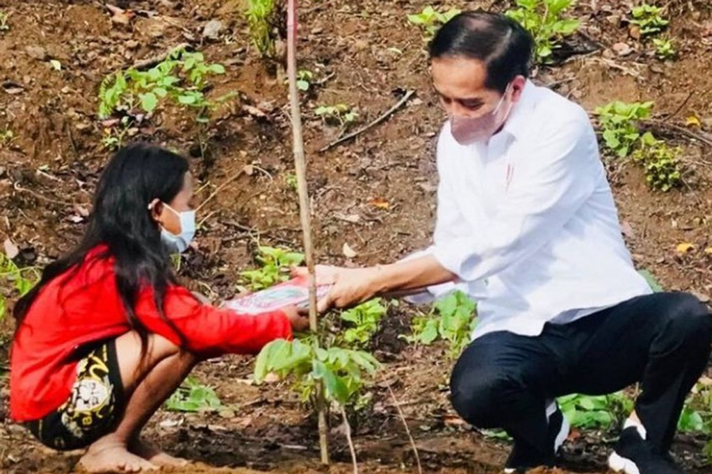 “Pagi hari ini saya berada di Kawasan Hutan Gunung Pepe di Kabupaten Lombok Tengah, Provinsi Nusa Tenggara Barat, bersama-sama dengan masyarakat, dengan menteri, gubernur, kita bersama-sama menanam banyak pohon di sini utamanya kayu putih dan juga banyak buah-buahan,” ujar Presiden selepas penanaman.