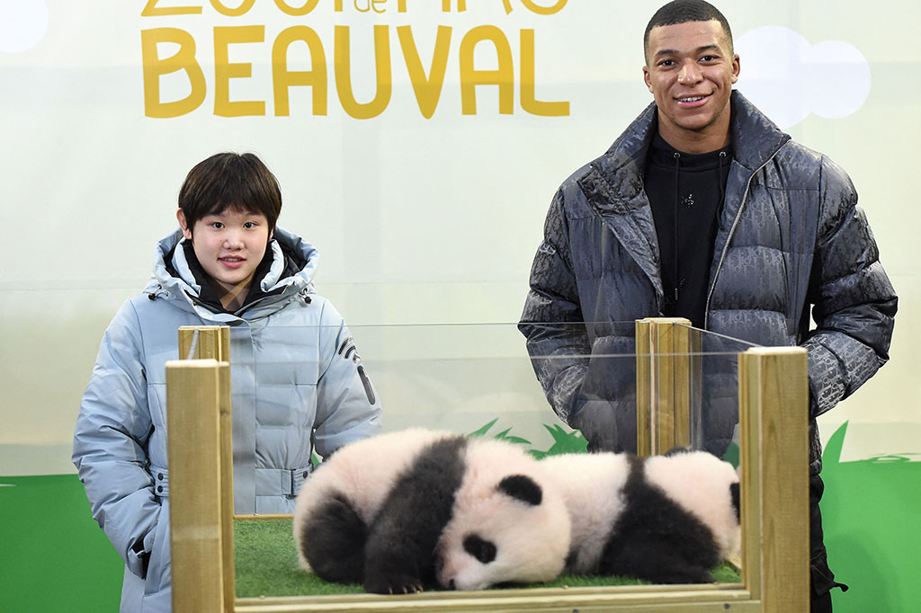 Bayi panda kembar yang lahir di kebun binatang Prancis pada hari Kamis, 18 November 2021 waktu setempat diberi nama Yuandudu dan Huanlili. Upacara dihadiri oleh bintang sepak bola Kylian Mbappe, yang dinobatkan sebagai 'ayah baptis' hewan tersebut.
