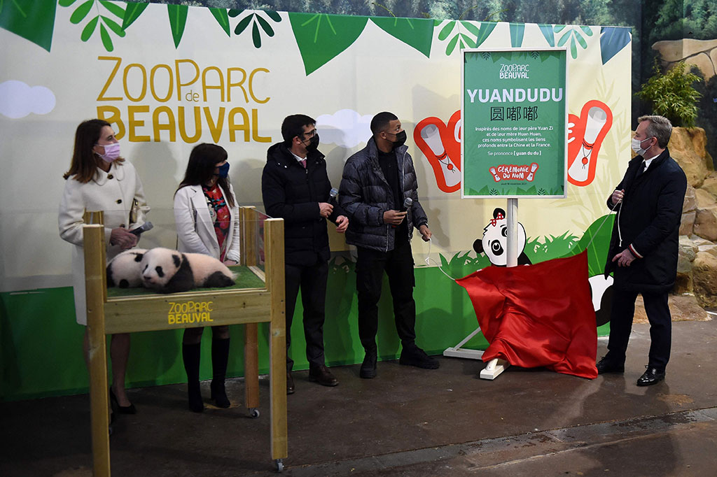 “Merupakan kehormatan besar untuk berada di sini 100 hari setelah kelahiran dua keajaiban kami,” kata Mbappe. “Ini suatu kehormatan tetapi juga tanggung jawab karena, di balik itu, ada proyek untuk melindungi spesies yang terancam punah ini.