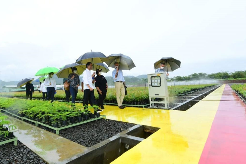 Presiden Joko Widodo meninjau langsung Persemaian Modern Rumpin di Kecamatan Rumpin, Kabupaten Bogor, pada Jumat, 19 November 2021. Kunjungan ini menunjukkan keseriusan pemerintah Indonesia dalam menangani dampak perubahan iklim.
