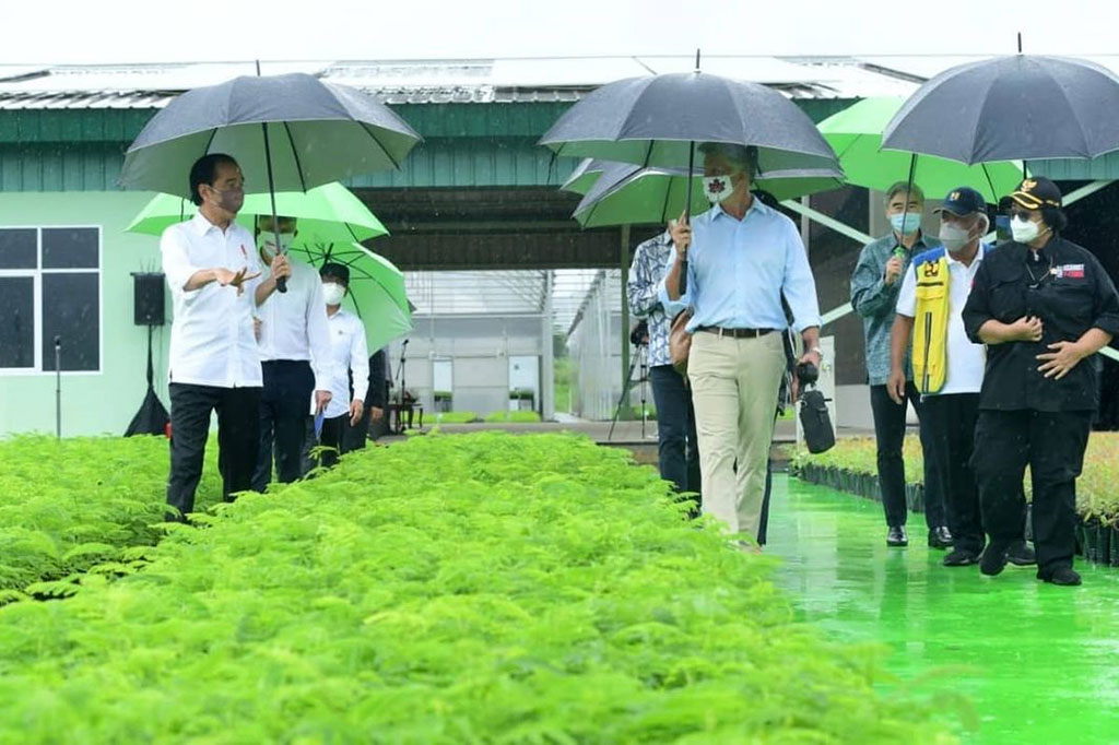 “Kita ingin menunjukkan bahwa Indonesia serius dalam menangani dampak dari perubahan iklim dan kita tunjukkan nursery center ini yang bisa setahun memproduksi kurang lebih 12 juta bibit,” ujar Jokowi.
