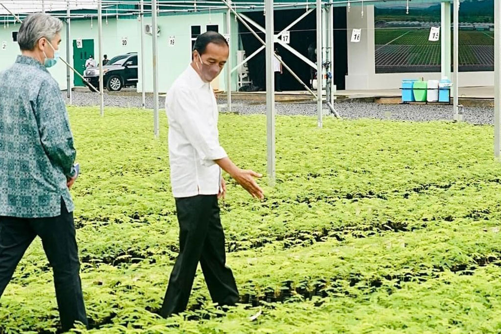 “Tadi saya ditunjukkan mengenai bibit albasia atau sengon, kemudian bibit eucalyptus, kemudian ada bibit jati, ada juga bibit mahoni yang semuanya kita produksi di sini dan kita harapkan nanti di bulan Januari bibit-bibit ini sudah mulai keluar untuk ditanam di tempat-tempat yang sering banjir, yang sering longsor, yang memerlukan rehabilitasi untuk lahan-lahan kritis,” jelasnya.