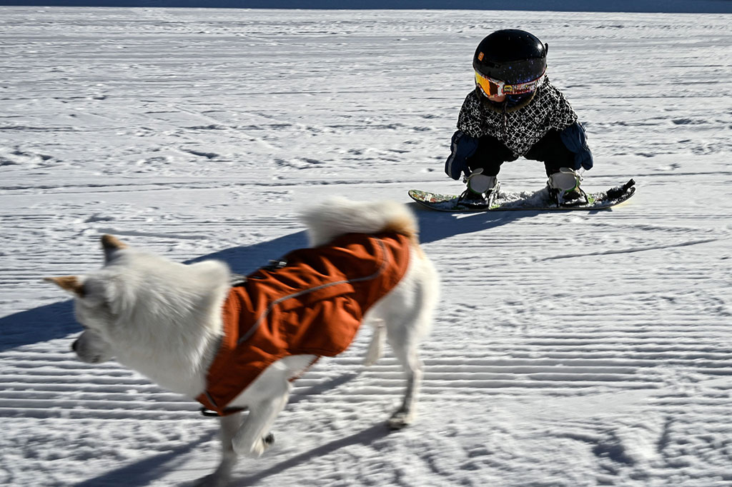 Begitu orang tuanya melepaskannya, dia meluncur dengan mulus di papan kecilnya, cekikikan, dan mengepakkan tangannya.