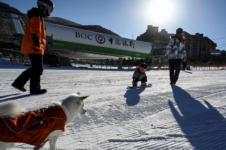 Aksi Bayi 11 Bulan Bermain Snowboarding Curi Perhatian dan
