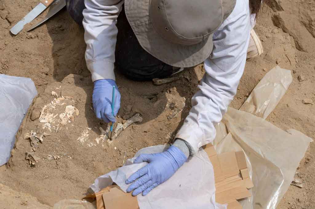 Mumi itu ditemukan di ruang pemakaman yang panjangnya sekitar tiga meter dan pada kedalaman sekitar 1,4 meter di lokasi penggalian di Cajamarquilla, sekitar 24 kilometer timur Lima.