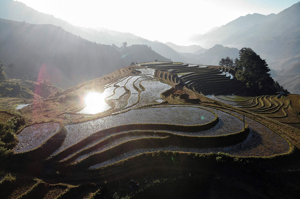 Saat matahari pagi menembus kabut di atas sawah berundak (terasering) Vietnam, petani membawa kerbau ke sawah dan melewati hari-hari tanpa turis di tanah air mereka yang berbukit.