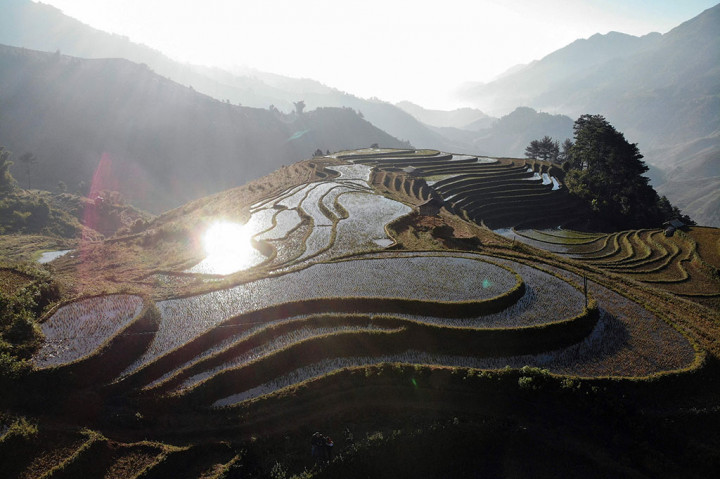 Saat matahari pagi menembus kabut di atas sawah berundak (terasering) Vietnam, petani membawa kerbau ke sawah dan melewati hari-hari tanpa turis di tanah air mereka yang berbukit.