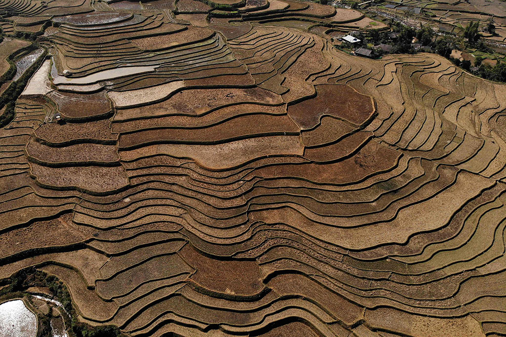 Terasering spektakuler - yang terletak hingga 1.000 meter di atas permukaan laut - sebagian besar milik Hmong, kelompok minoritas yang membentuk sebagian besar penduduk daerah tersebut.