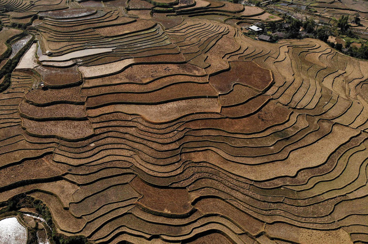 Terasering spektakuler - yang terletak hingga 1.000 meter di atas permukaan laut - sebagian besar milik Hmong, kelompok minoritas yang membentuk sebagian besar penduduk daerah tersebut.