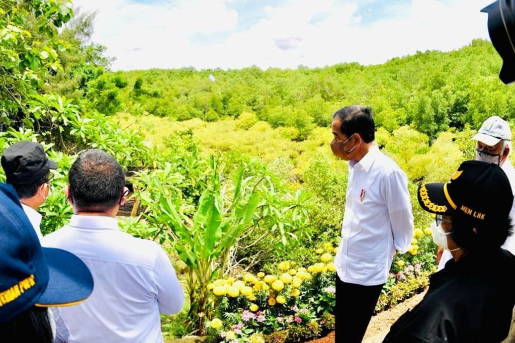Jokowi mengatakan, hutan mangrove ini disiapkan untuk dikunjungi oleh para pemimpin delegasi G20 pada 2022 mendatang. 