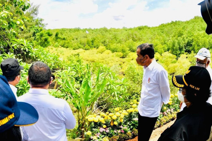 Jokowi mengatakan, hutan mangrove ini disiapkan untuk dikunjungi oleh para pemimpin delegasi G20 pada 2022 mendatang. 
