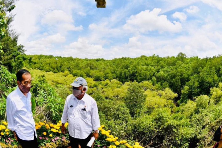 Dengan begitu, Indonesia menegaskan komitmen dalam isu perubahan iklim dan restorasi hutan.