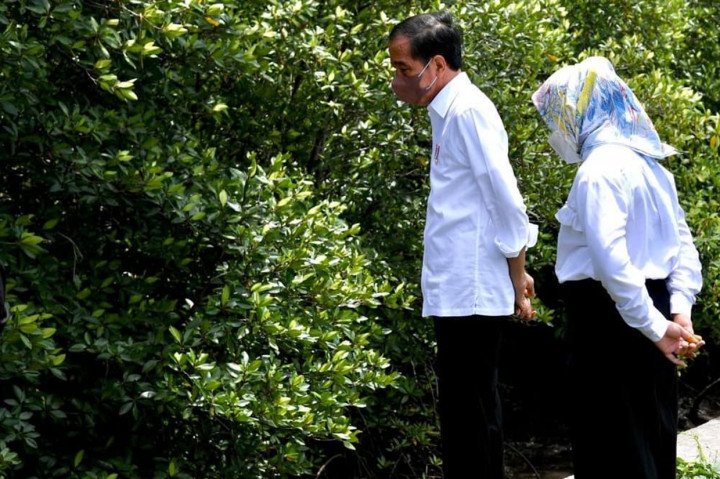 Presiden Joko Widodo beserta Ibu Negara Iriana Joko Widodo mengawali kunjungan kerjanya di Provinsi Bali dengan meninjau Mangrove Conservation Forest di Pemogan, Denpasar Selatan, Kota Denpasar, pada Kamis, 2 Desember 2021.