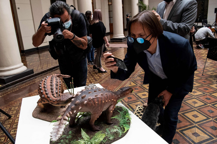 Pengunjung memotret model Stegouros elengassen, spesies baru dinosaurus non-unggas yang ditemukan utuh di Patagonia, saat fosilnya dipajang di Santiago, Chili pada Rabu, 1 Desember 2021 waktu setempat.