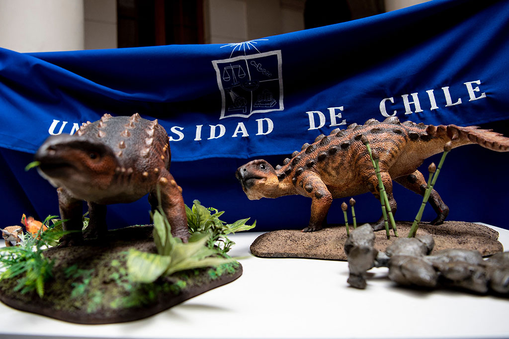 Ahli paleontologi Chili, Rabu, 1 Desember 2021 waktu setempat, mempresentasikan temuan mereka yaitu dinosaurus yang ditemukan tiga tahun lalu di Patagonia. Mereka mengatakan bahwa dinosaurus tersebut memiliki ekor yang sangat tidak biasa yang membuat para peneliti bingung.