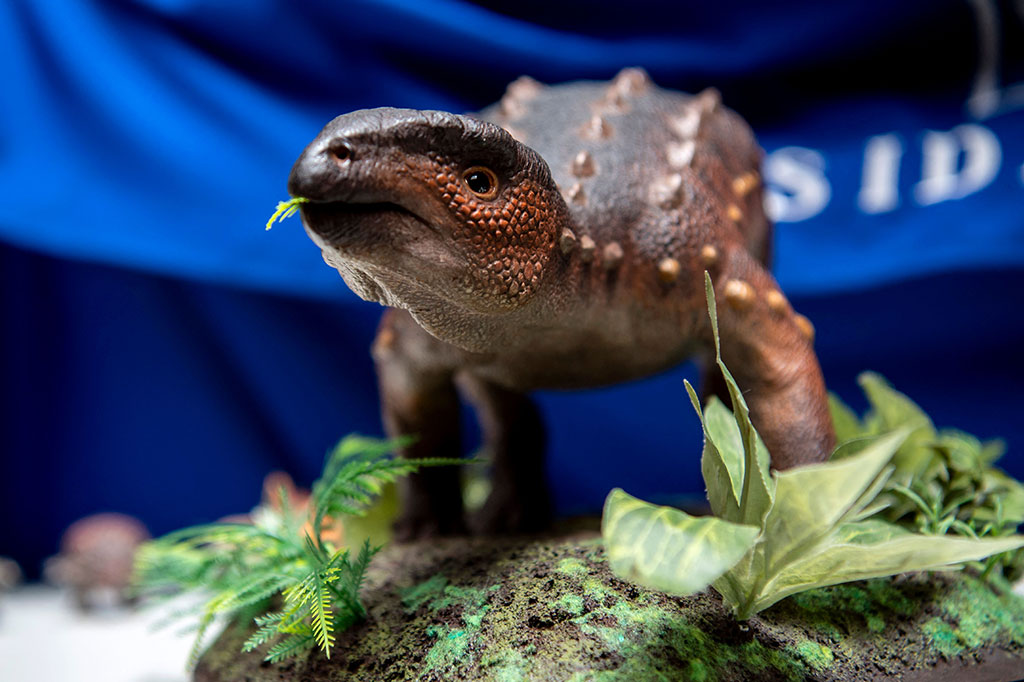 Sisa-sisa Stegouros elengassen ditemukan selama penggalian pada 2018 di Cerro Guido, sebuah situs yang diketahui menyimpan banyak fosil, oleh sebuah tim yang percaya bahwa mereka berurusan dengan spesies dinosaurus yang sudah diketahui sampai mereka memeriksa ekornya.