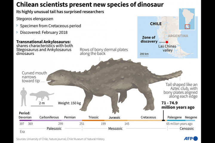 Menurut para ilmuwan, yang menerbitkan penelitian mereka di jurnal Nature, hewan itu bisa mewakili garis keturunan dinosaurus lapis baja yang sampai sekarang tidak pernah terlihat di belahan bumi selatan, tetapi sudah diidentifikasi di bagian utara benua.