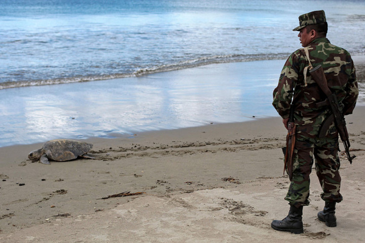 Pantai La Flor, di San Juan del Sur, adalah tujuan wisata di Nikaragua selatan. Ini adalah lokasi yang ideal bagi penyu lekang untuk bersarang karena iklim tropis dan perairannya yang hangat, yang mendorong reproduksi, menurut para pemerhati lingkungan.