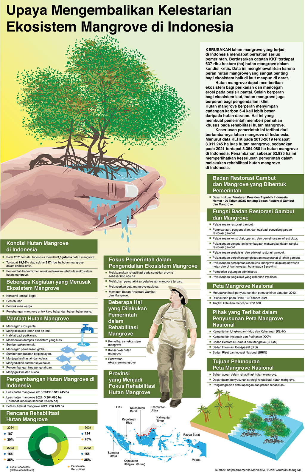 Upaya Mengembalikan Kelestarian Ekosistem Mangrove di Indonesia