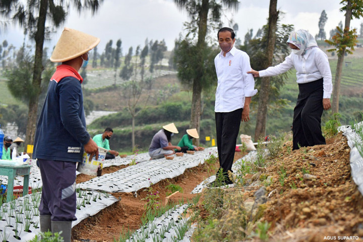 Presiden menginginkan para petani bawang merah selalu diberi pendampingan oleh Kementerian Pertanian (Kementan). Ia juga berpesan agar harga bawang merah tidak dipermainkan oleh para tengkulak yang bisa membuat petani merugi. 