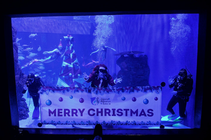 Penyelam berkostum santa claus dan putri duyung dengan nuansa Natal melakukan pertunjukan bawah air di Jakarta Aquarium dan Safari, Jakarta, Senin, 20 Desember 2021.