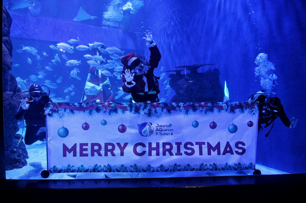 Pertunjukan tersebut diselenggarakan untuk memeriahkan perayaan Natal 2021 dan Tahun Baru 2022.