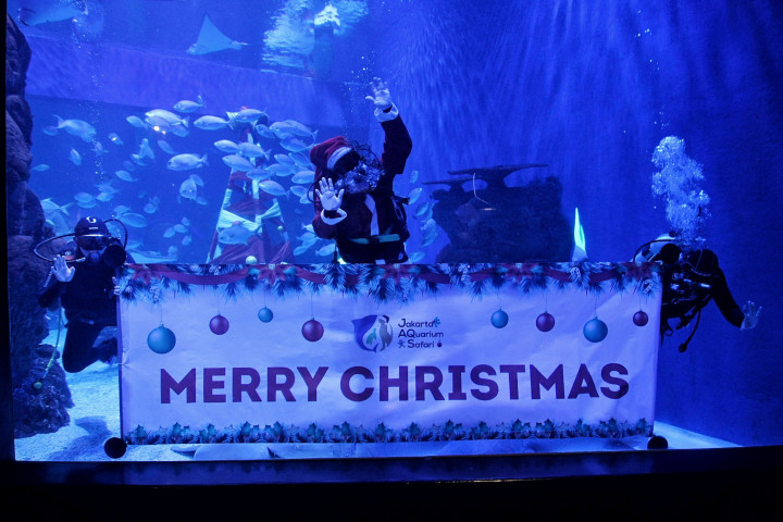 Pertunjukan tersebut diselenggarakan untuk memeriahkan perayaan Natal 2021 dan Tahun Baru 2022.