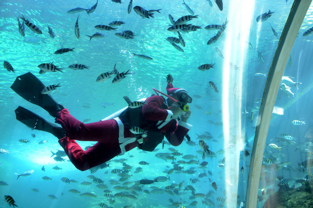 Atraksi menyelam dengan mengenakan kostum Sinterklas dan Elf tersebut dilakukan untuk menghibur pengunjung restoran tersebut serta untuk memeriahkan perayaan Hari Raya Natal 2021.