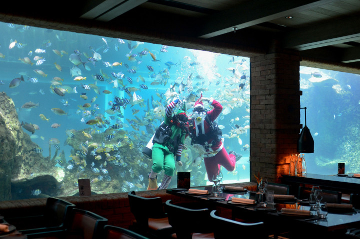 Bagi pengunjungnya, Koral Restaurant menawarkan sejumlah menu makanan di antaranya yang terdiri dari three course, four course dan five course dengan kisaran harga mulai dari Rp850 ribu per orang.