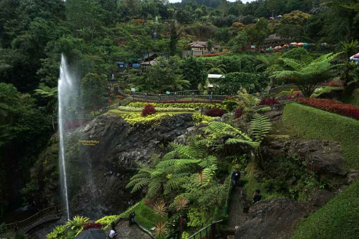 Sekretaris Dinas Pemuda Olahraga Kebudayaan dan Pariwisata (Dinporabudpar) Banyumas Wakhyono Ghozali mengatakan bahwa kunjungan pada Sabtu lebih banyak jika dibandingkan dengan libur Natal sepekan lalu. 