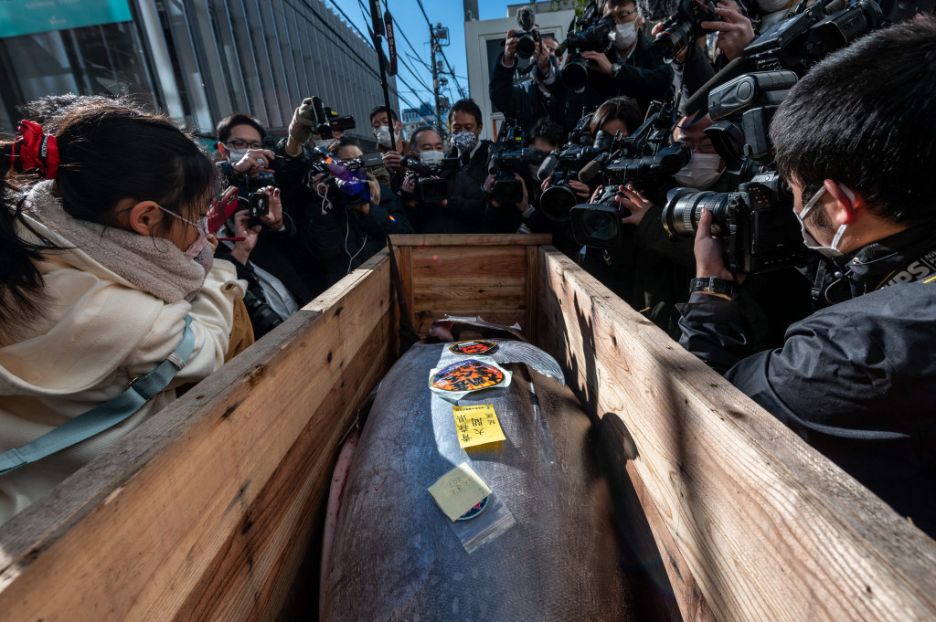 Jurnalis memfilmkan dan mengambil gambar dalam lelang tuna Tahun Baru di pasar ikan Toyosu di Tokyo, Rabu, 5 Januari 2022.