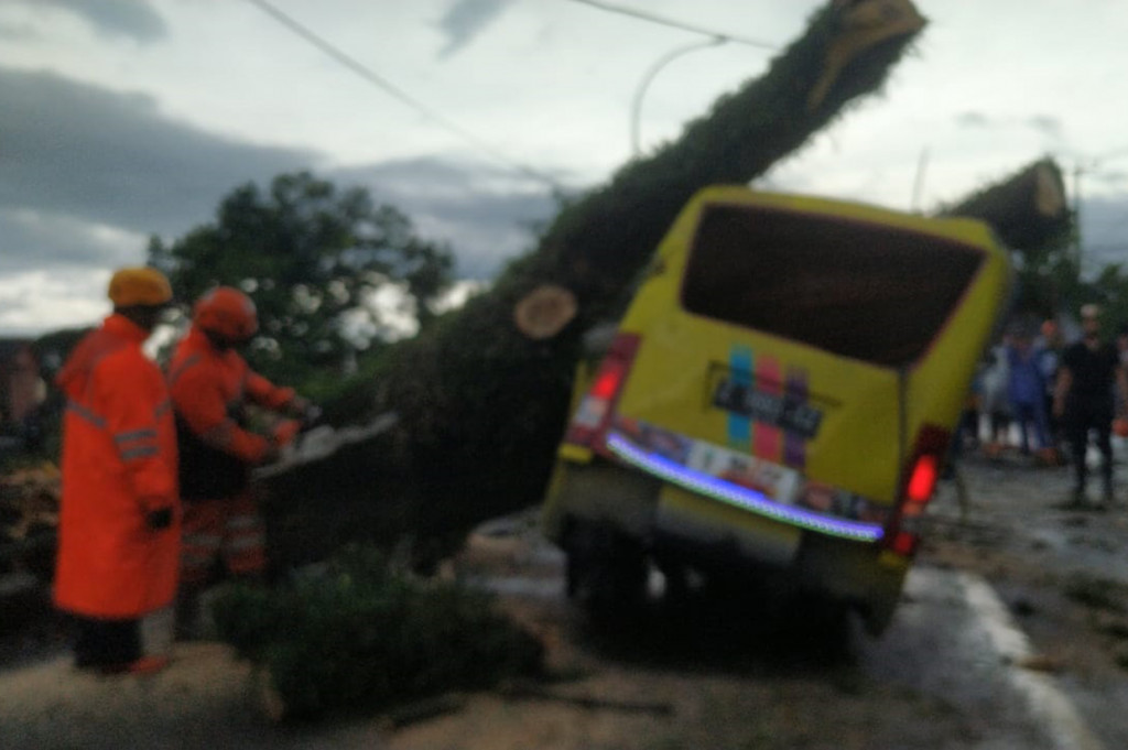 Sebuah pohon tumbang menimpa mobil odong-odong yang melintas di Jalan Ibrahim Adji, Kelurahan Indihiang, Kota Tasikmalaya, Minggu, 9 Januari 2022.