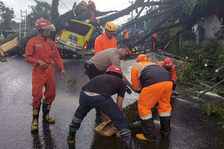 Hingga Sabtu sore, petugas di lapangan masih berupaya membersihkan pohon yang tumbang itu. Kondisi mobil yang tertimpa pohom itu penyok di bagian tengahnya. Untuk sementara, arus lalu lintas di jalan nasional itu dialihkan ke jalan lainnya selama proses evakuasi.