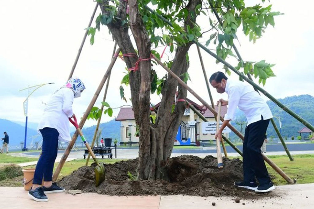 Sebelum bertolak kembali menuju Kabupaten Lombok Tengah, Presiden dan Ibu Iriana menyempatkan diri untuk menanam pohon jambu air di area Bendungan Bintang Bano.