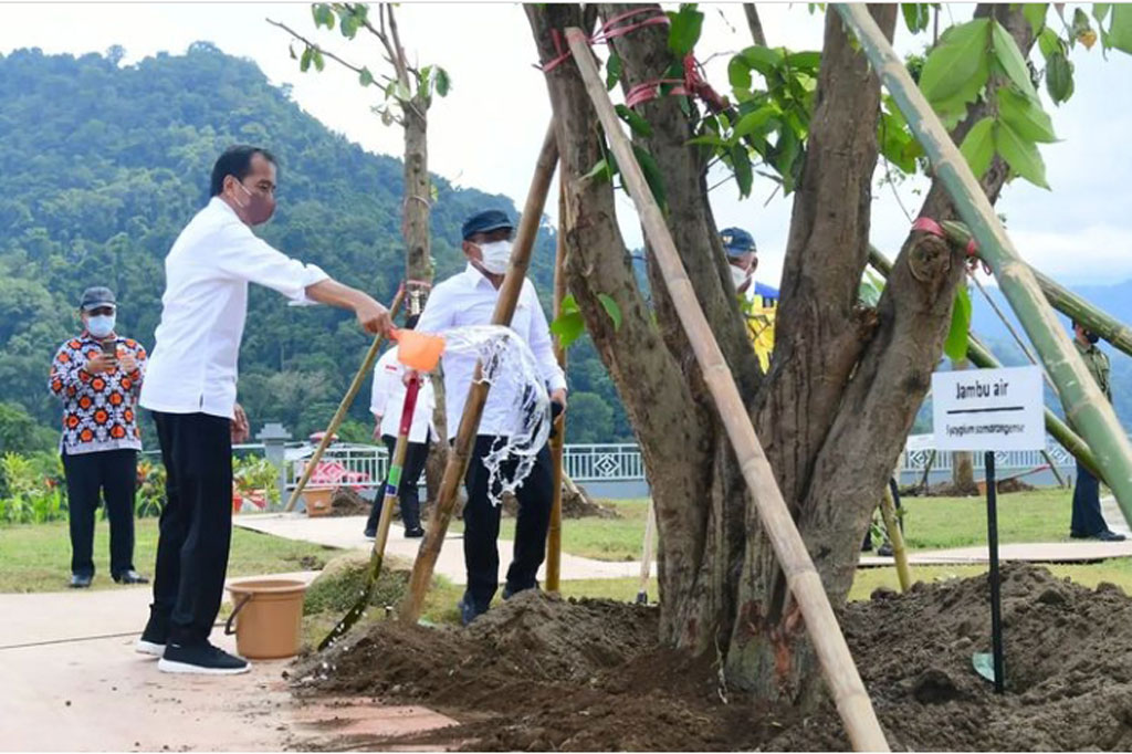 Presiden Jokowi tampak menyirang pohon jambu air usai menanamnya di arena Bendungan Bintang Bano.
