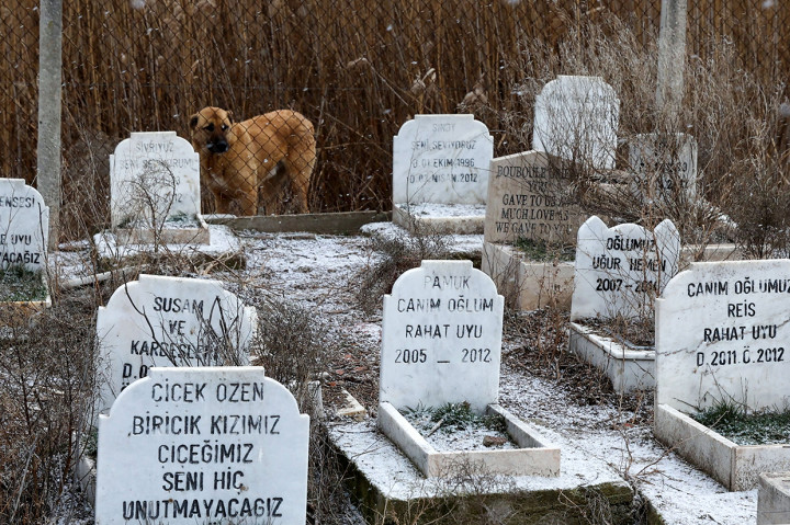 Potret Pemakaman Hewan Peliharaan di Ankara