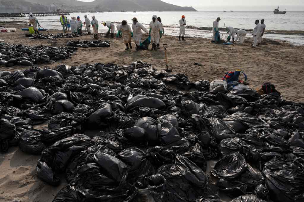 Kementerian luar negeri Peru mengatakan bahwa tumpahan minyak telah membahayakan kehidupan flora dan fauna di zona lindung di area seluas 18.000 km persegi di sekitar pulau dan wilayah penangkapan ikan.