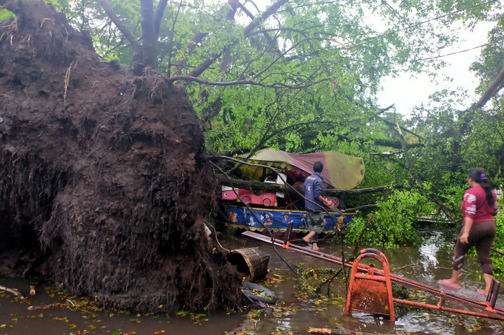 Petugas masih terus melakukan evakuasi terhadap pohon di setiap titik lokasi.