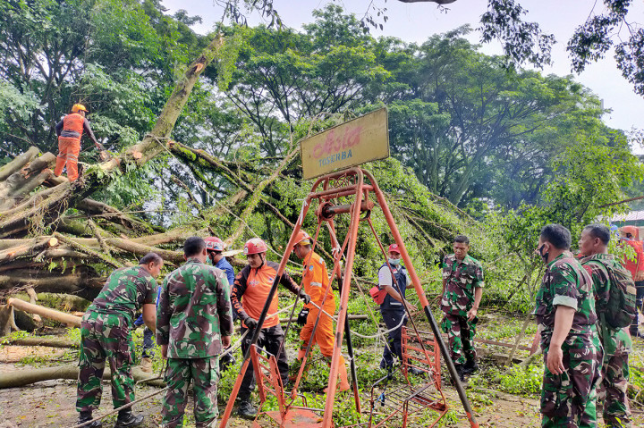Proses Evakuasi Pohon Beringin Tua yang Tumbang di Tasikmalaya