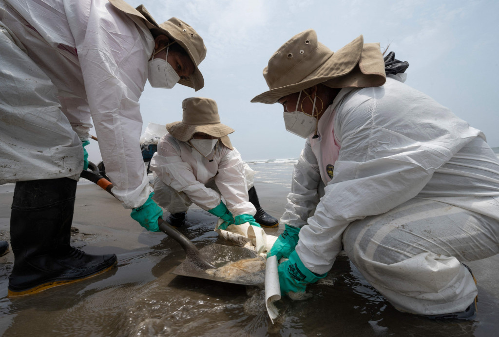 Pembersihan Pantai Cavero dari tumpahan minyak kapal tanker Mare Doricum yang dihantam gelombang akibat letusan gunung berapi Tonga masih terus dilakukan.