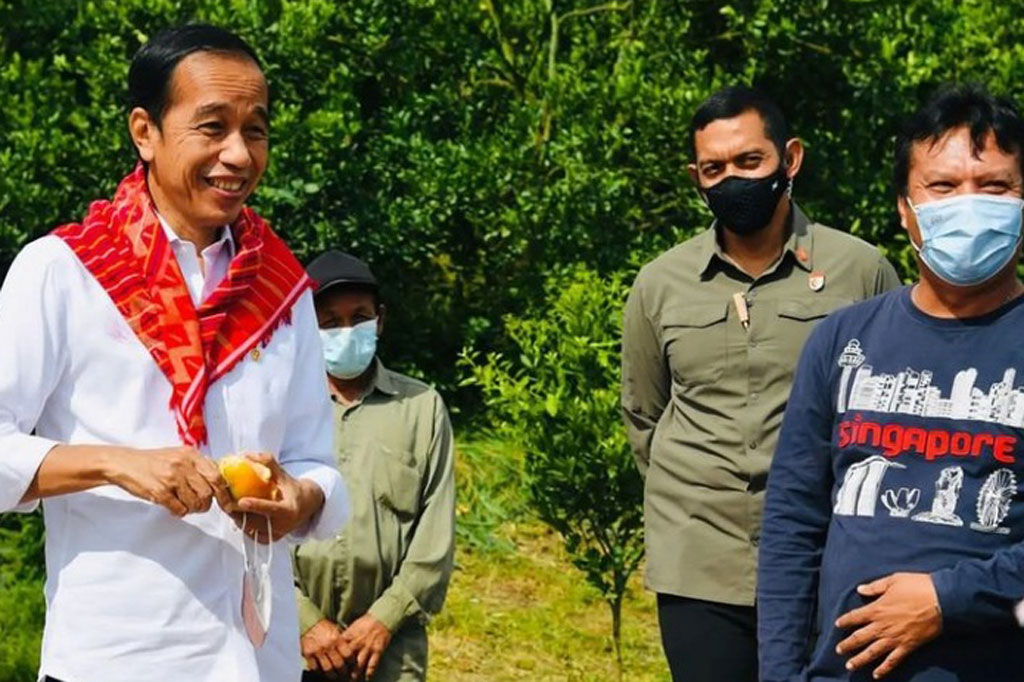 Jokowi meminta adanya pendampingan untuk meningkatkan kualitas produksi jeruk di Kabupaten Karo yang menjadi salah satu sentra produksi komoditas jeruk.