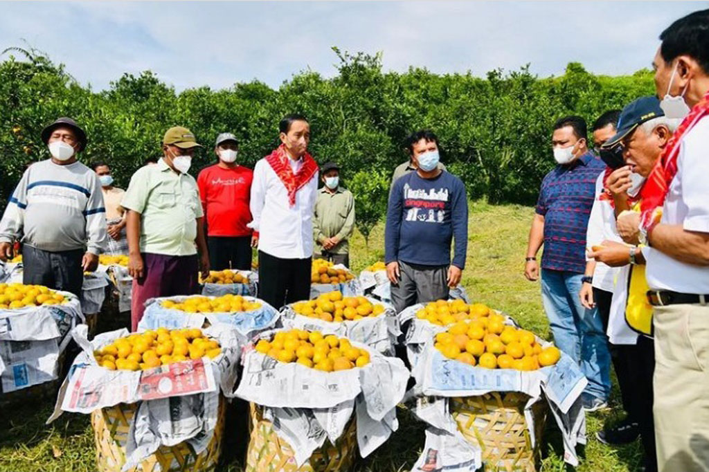 Presiden telah menginstruksikan Menteri Pariwisata dan Ekonomi Kreatif Sandiaga Uno untuk memperbaiki kemasan dan citra dari setiap komoditas yang dihasilkan para petani di Tanah Air, termasuk jeruk Kabupaten Karo, sehingga memiliki nilai jual yang lebih tinggi.