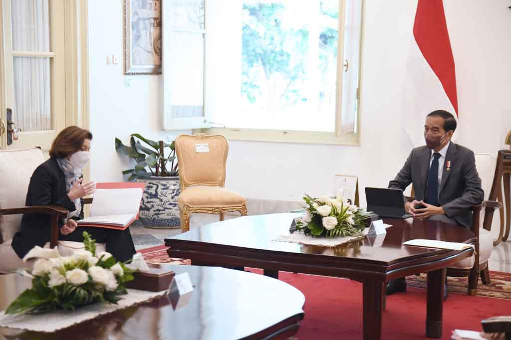 Selain itu, Presiden juga berharap negosiasi perjanjian kemitraan ekonomi komprehensif atau Comprehensive Economic Partnership Agreement (CEPA) antara Indonesia dengan Uni Eropa dapat mengalami kemajuan di bawah presidensi Prancis di Uni Eropa. Jokowi juga meminta dukungan Prancis terhadap Presidensi G20 Indonesia.