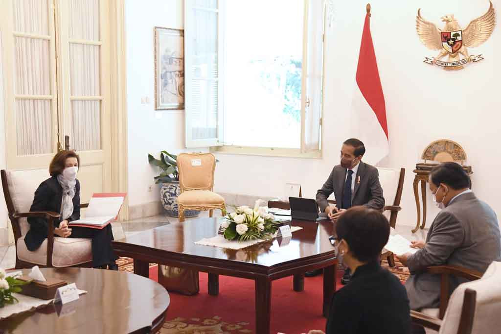 Dalam pertemuan itu, Presiden juga membahas mengenai kerja sama Indo-Pasifik. Presiden Jokowi dan Presiden Prancis Emmanuel Macron telah sepakat untuk menjadikan Indo-Pasifik sebagai kawasan yang damai, stabil, dan sejahtera; sehingga memerlukan penguatan kerja sama ekonomi.