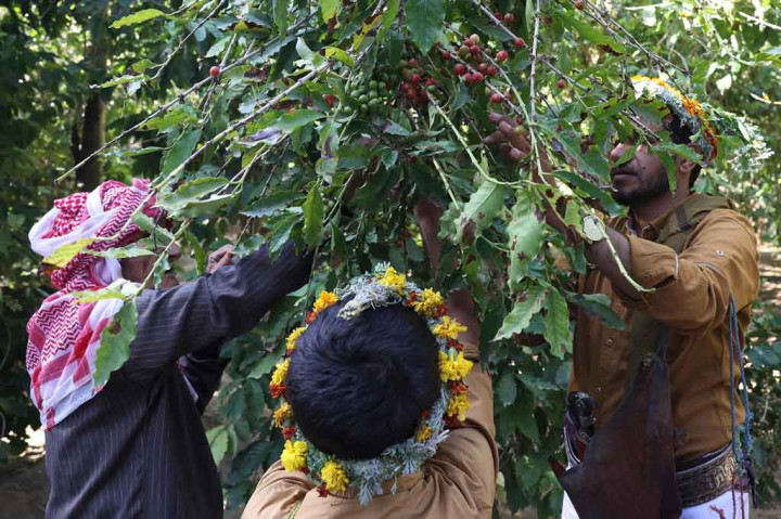 Patriark berusia 90 tahun ini memiliki sejarah panjang dengan kopi, yang menyebar dari Ethiopia ke Yaman dan kemudian ke seluruh Timur Tengah sekitar abad ke-15.