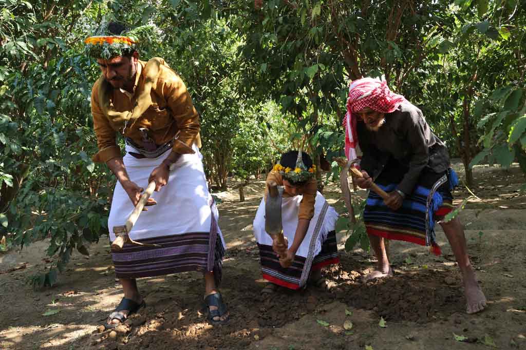 Mengenakan pakaian tradisional petani kopi, kemeja 'kamisol' berwarna gelap dan rok sepanjang mata kaki yang dikenal sebagai 'wizrah', serta ikat pinggang yang terselip keris, Malki masih bekerja di ladang meskipun usianya sudah lanjut. 